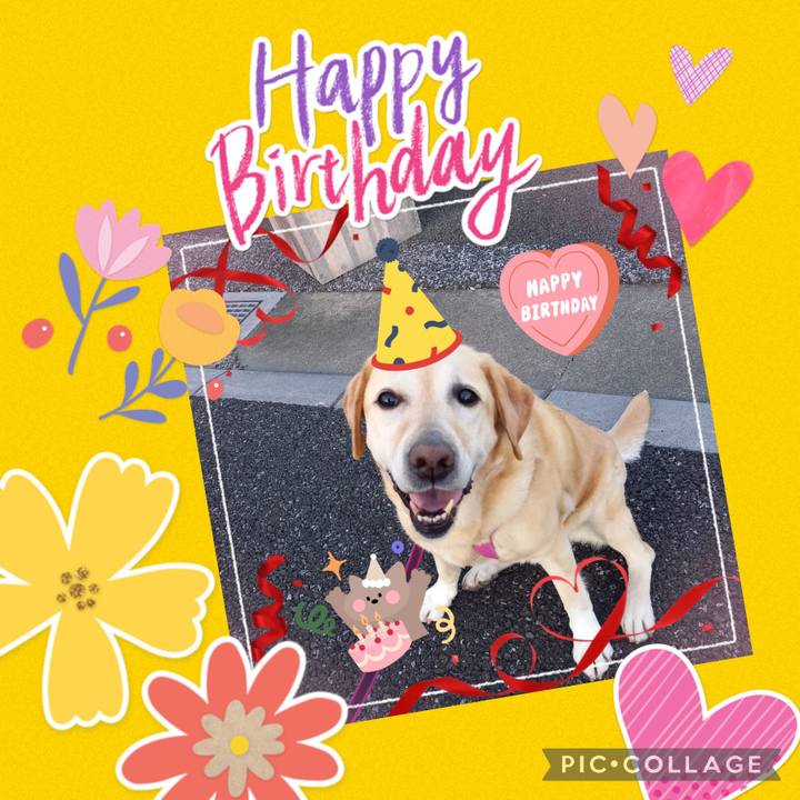 401d8e66 b7e5 40f3 a04f 331f3a446d71 1650083925032