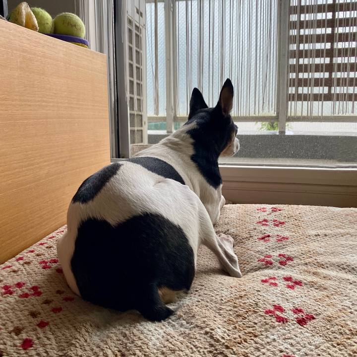 401da445 3b94 41e0 81b3 439f4512695e 1602288249359