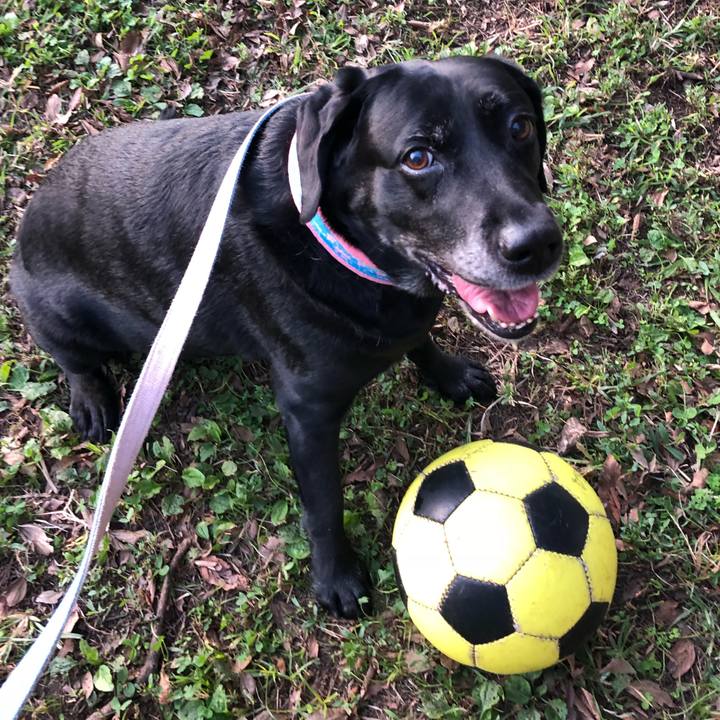 401daee9 3d8e 488d 8a6d f1bd571507e3 1540196937505