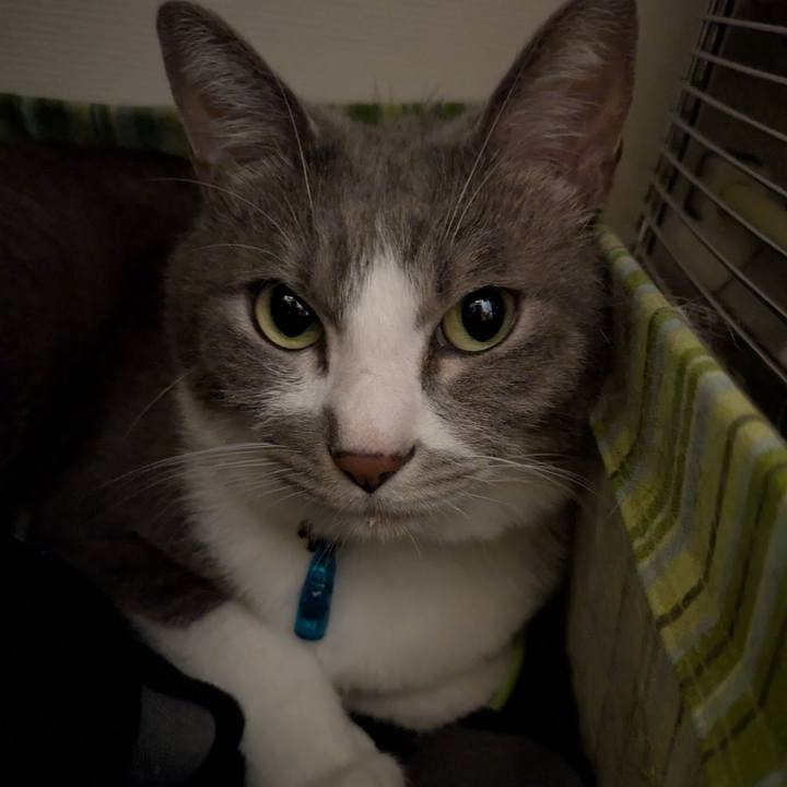 401de75a 5fa1 48a8 b438 b3cd135f0bbf 1756726211863