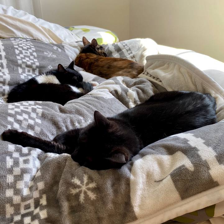 401e15bd c934 46a8 a22f 4702a111f18c 1617247548689