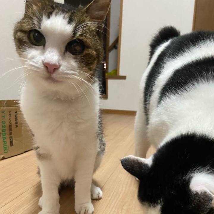 401e783e 2785 4423 b1b6 8dc504df8ee6 1591270300800