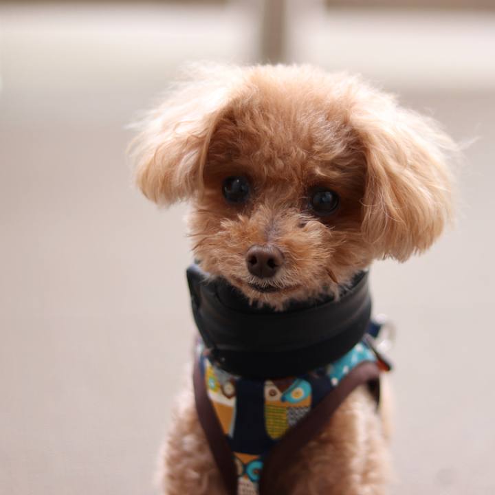 401eb3ad a232 4f7c 83b1 c907d4490a00 1558477807423