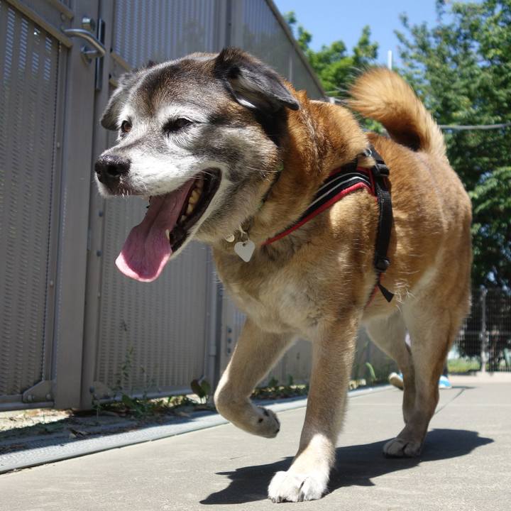 401ecd0e ebb4 4211 8090 ed6270424446 1669769103846