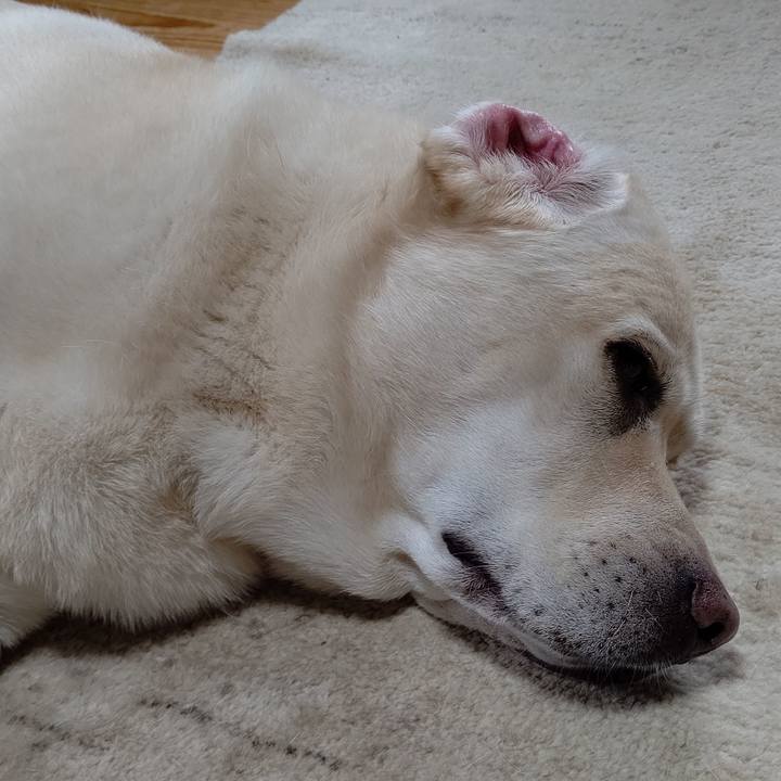 401ecfb7 4ae3 4bd9 b185 a3fc4fd13f7a 1660473863069