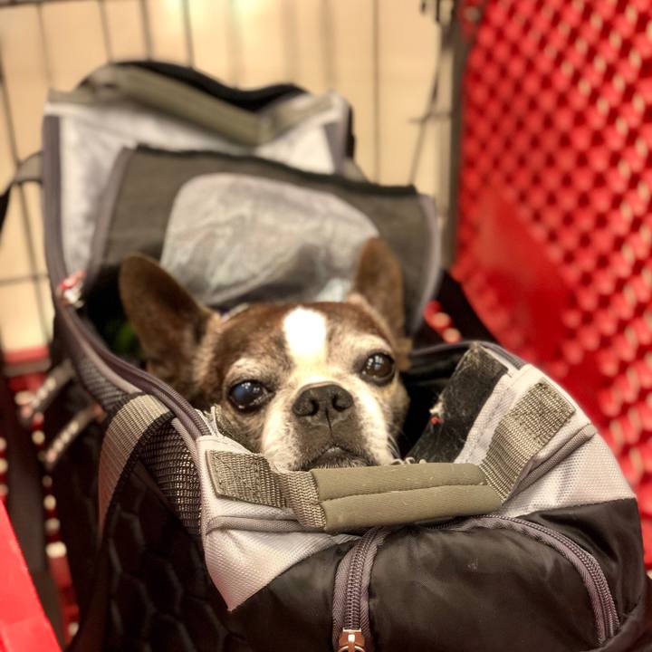 401f2939 4894 49b9 82a5 33ae1f825f51 1547403513286