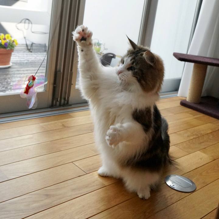 401f4656 919e 44d6 b247 1cd30b68ae4d 1549811391387