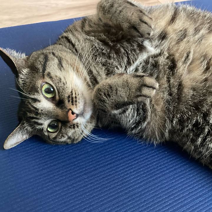 401f4a49 dc04 4bc4 b0dc 532103891111 1656806218717