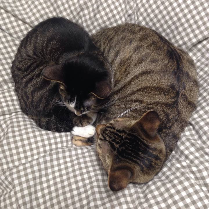 401f4f24 e8eb 4ae2 98de 8825ddeec45d 1510044977605