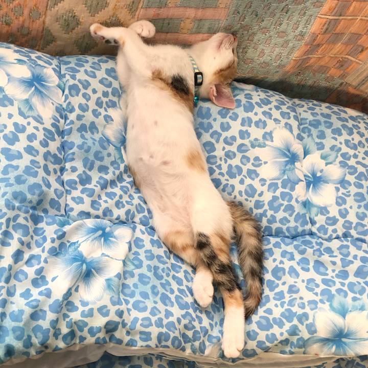 401f8463 cf6d 457c 85fd 30df2a829f44 1563177589497