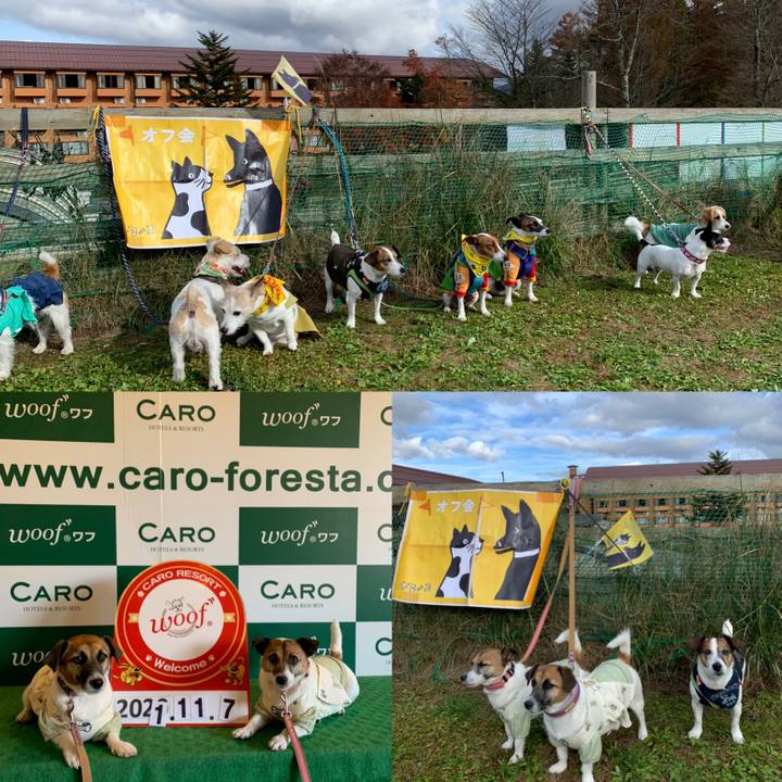 40200823 8b94 4c41 a1b6 89dd842a5c04 1636359376289