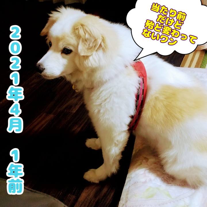 40202b25 6175 46aa bf76 42048bd4870a 1649933906715