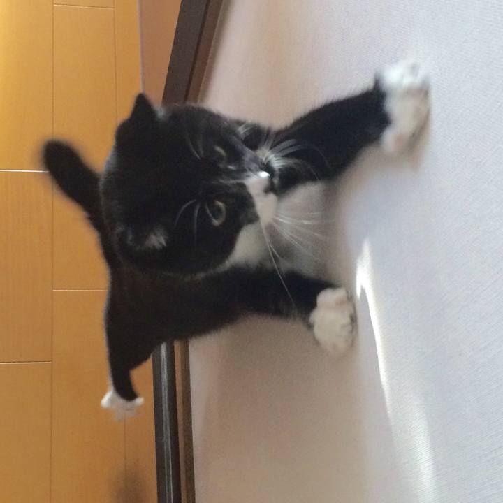 40203982 5736 4667 b6be 55075d37fc84 1513568793144