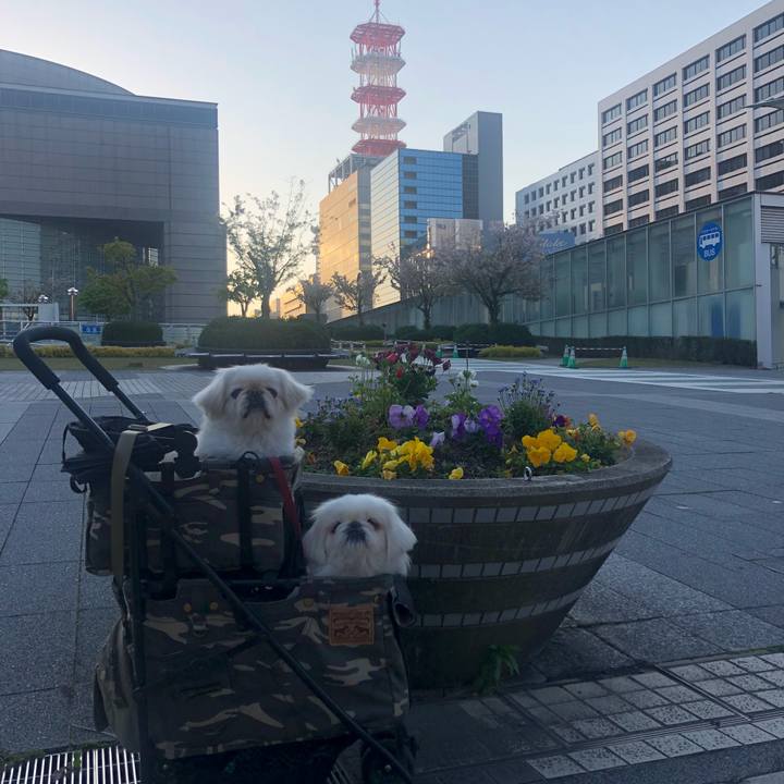 40205273 bedc 4ba6 9bcf eed9a41666ce 1587771478900