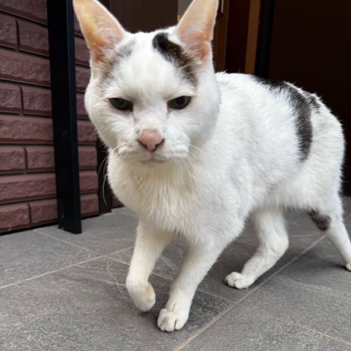 40207dda 4a55 481a 8907 250060084c87 1765585723465