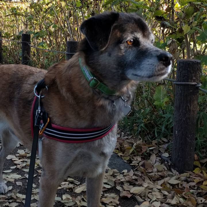 402080a7 da07 458b 8f3f b88c6d49e14f 1511914432166