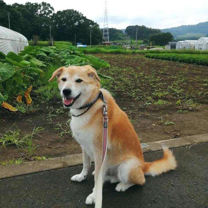 4020fc0b 8ca1 4314 af3e 26b21c24f483 1595570757508