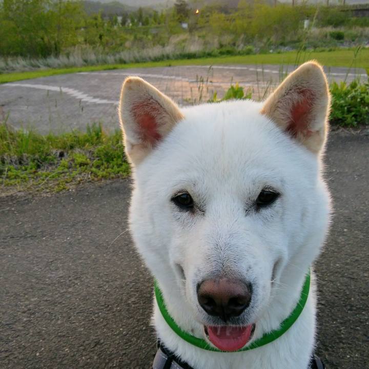 402114f7 c1d4 4ac0 96c0 da3373c2fd4d 1525607606282