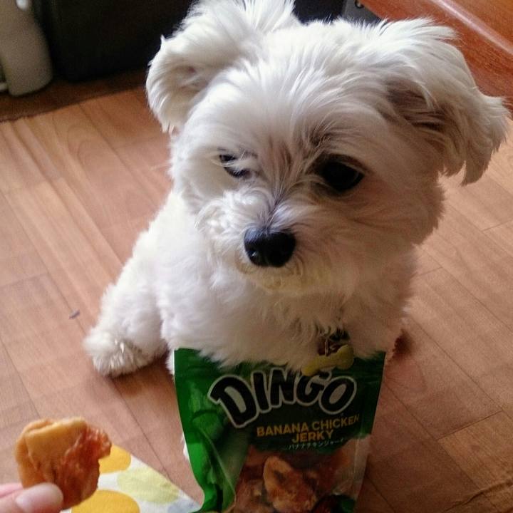 4021445b 81ec 4ab9 9656 42bce9d8cc20 1526038494221