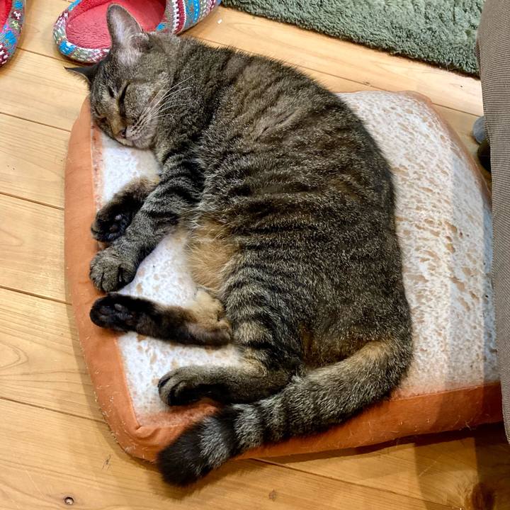 40219b4e 98cd 4356 b3b1 38c695617a18 1654513302503