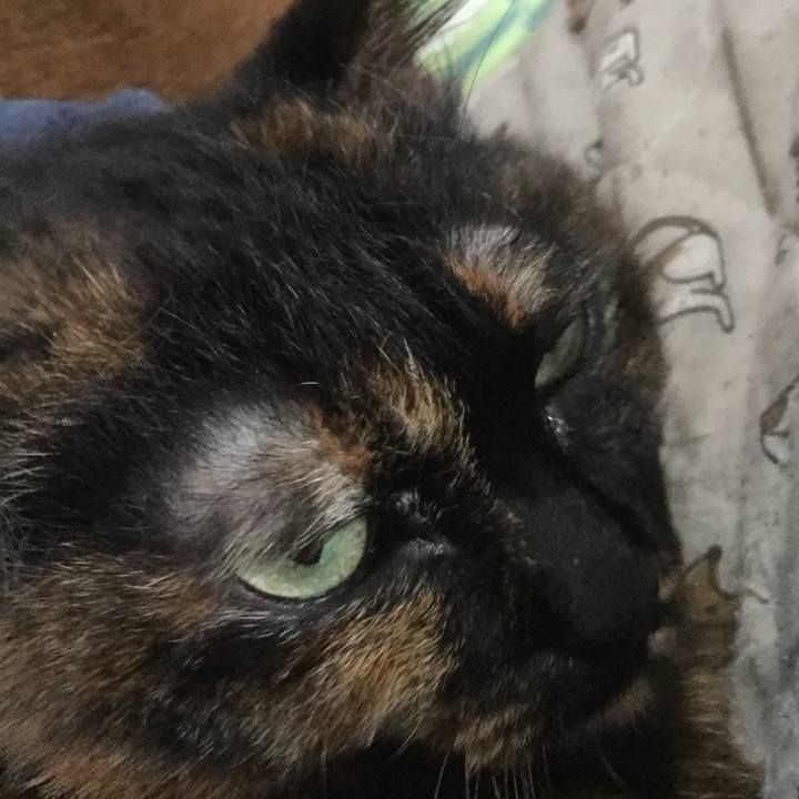 4021fc40 3642 4e65 a03f faeb201b2308 1617666333321