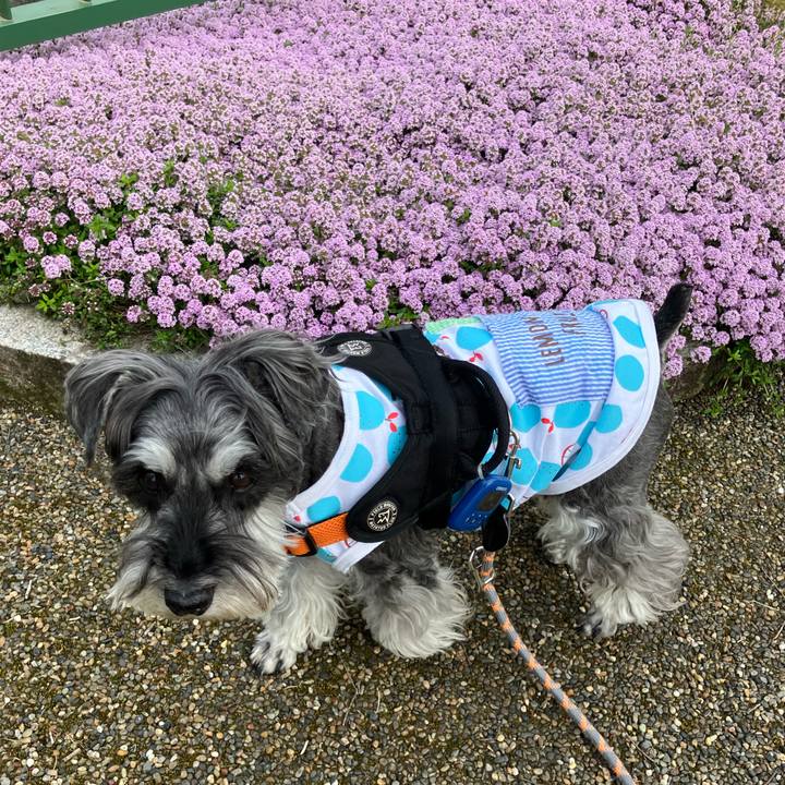 4022008b ba4d 4d64 b6d5 625cfb7bc090 1746446169290