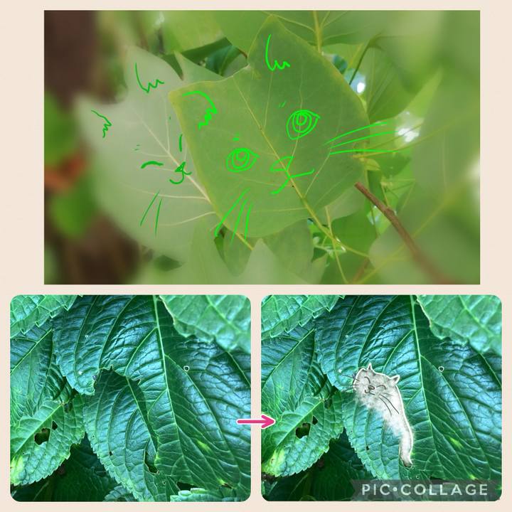 402211b3 7d7f 4117 9fdb a656894322bb 1724467633053