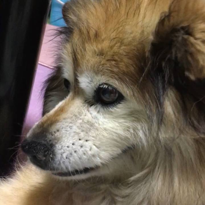 4022291e be40 41e4 a1bd 795f9ab52bdf 1601447031202