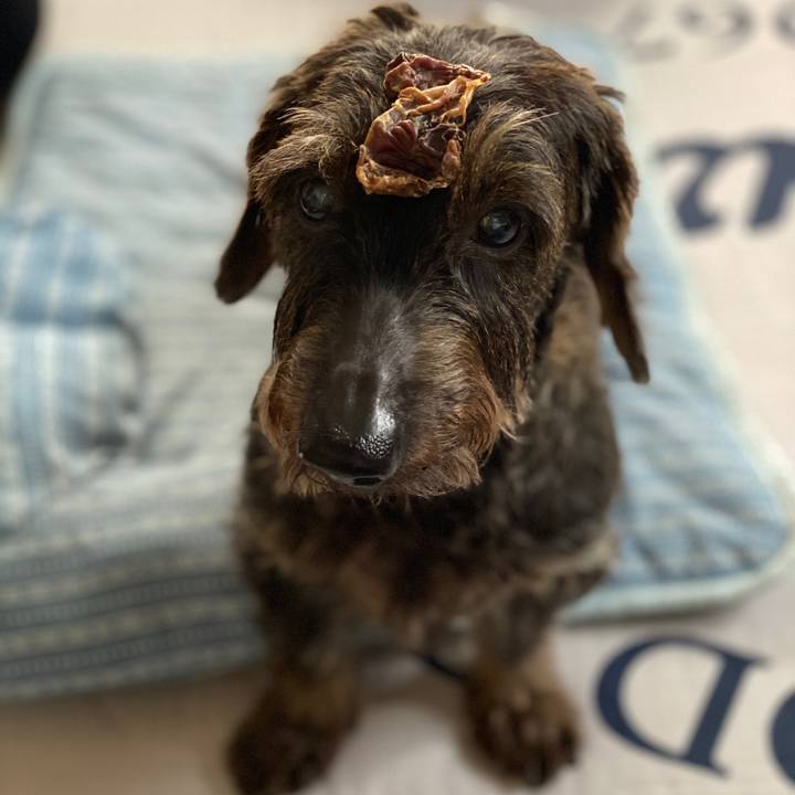 40223bae e4dd 4680 a818 2fed1cfa1fe2 1595423003297