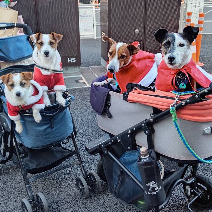 40223c0b ec07 445a ade1 ac45c21f9f3c 1671350136357