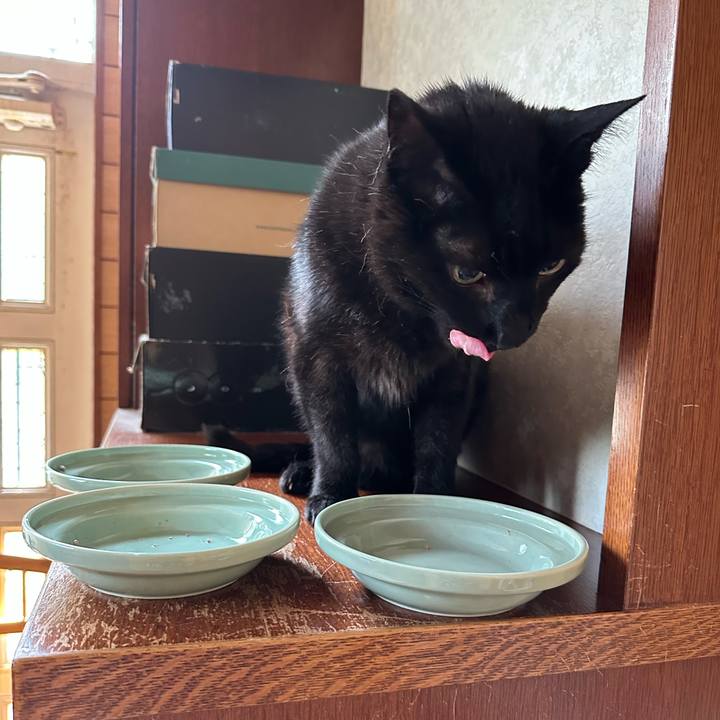 40227847 948a 4253 879d 3e2dcf614414 1687225662924