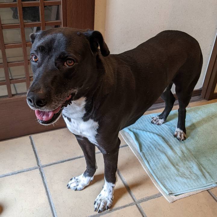 4022a647 39d0 427d abeb 40fd766d8669 1655944598913