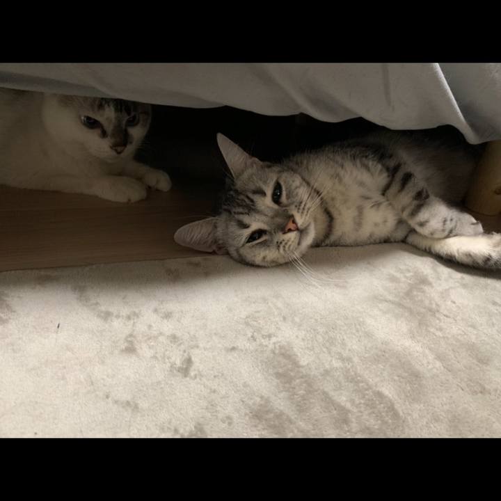 4022e298 72ec 4444 8434 f59d58375fbe 1606188106505