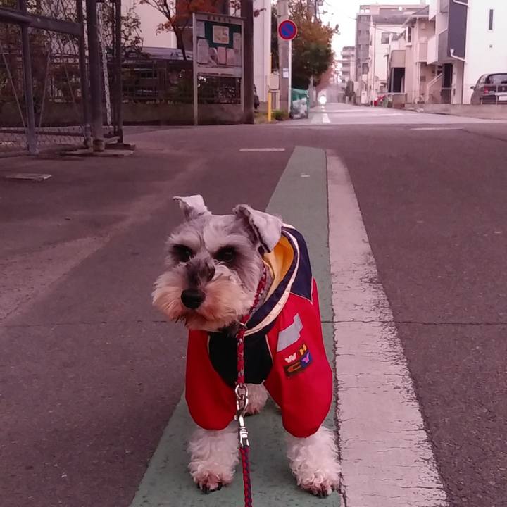 402318b3 a055 4df7 a59f db1a98488c97 1575243084547