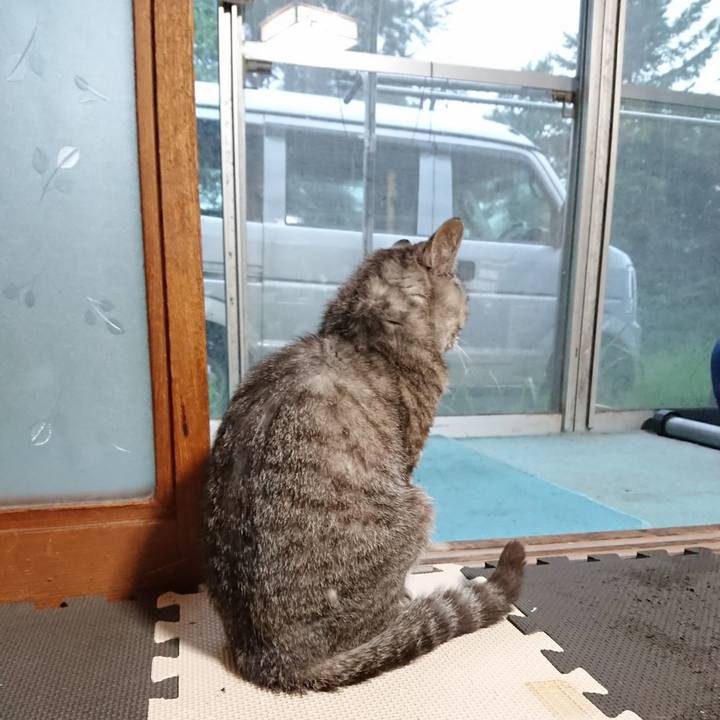 40231dbf 7e44 4074 b466 88da00c95360 1566506641284