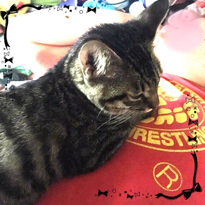 40233890 14bd 4c3f b016 2a8ee3ca3bf8 1541373265572