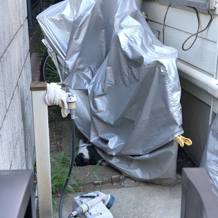 4023583d d51f 44c9 8867 fbabac039808 1535657326895