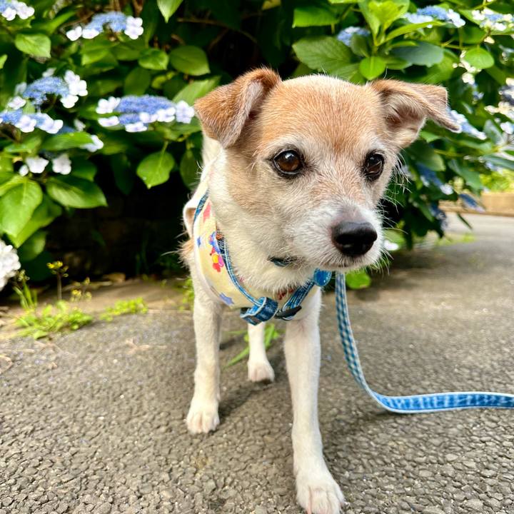 402361d6 d186 4113 9ad1 ac0fcc1934d5 1686020491045