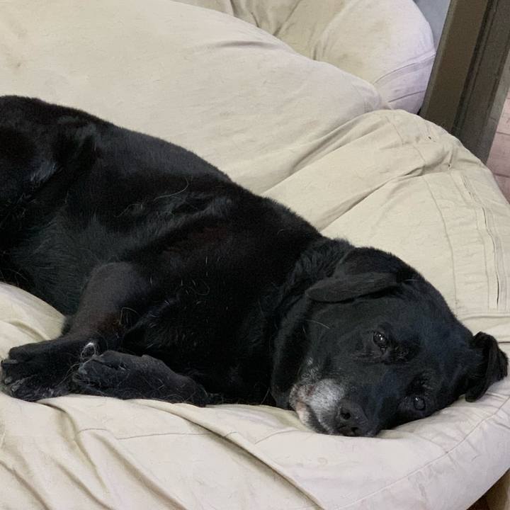 40237ec2 40dd 4169 8fbd 695e39663b46 1578039313551