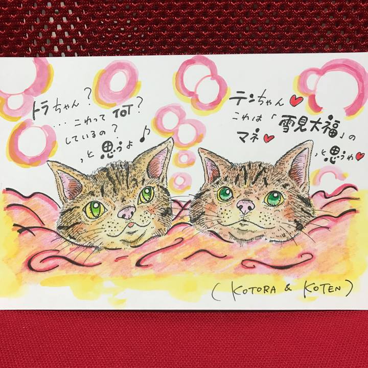 40237fc2 11ec 431b 8925 b924d3dcc5a1 1548691432964