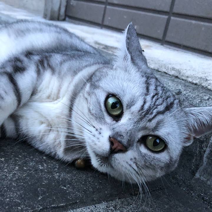 4023a67d b070 41af 8fc7 f5bfe4700532 1534673781202