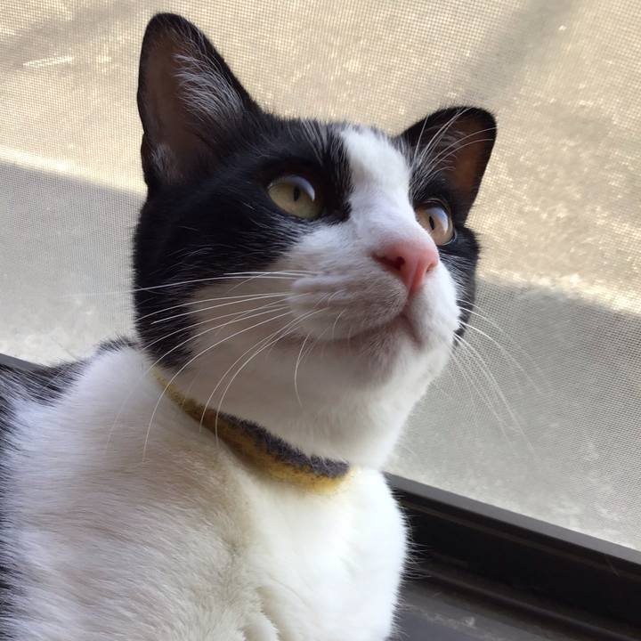 4023ea5a 48cb 4128 987a 4ba5c201fe46 1650922478194