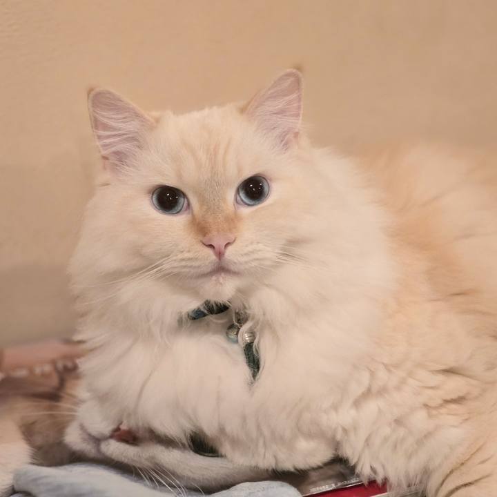 40241a15 ecc9 499a b346 3594aee77ee4 1730069586038