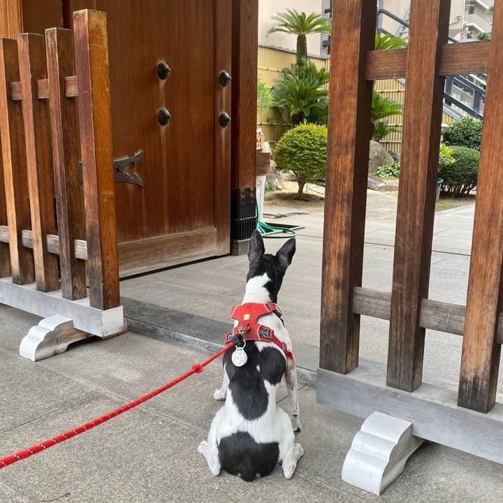 40242566 af43 4c92 b890 62d5b55696d6 1629023732489