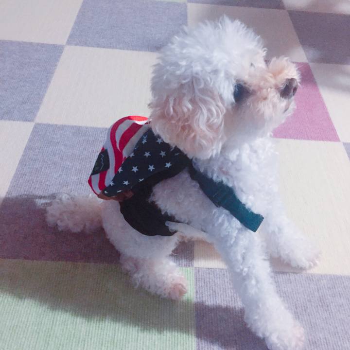 40242740 db44 4f2d a434 b838a136c20f 1534890531619