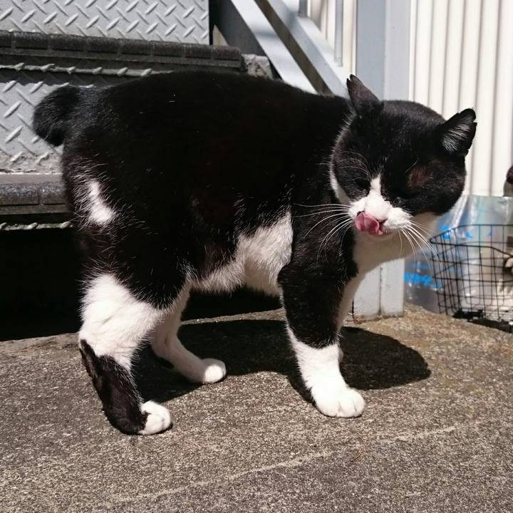 402428ad c540 493e a4bf ae0fcdc961e0 1521944608034