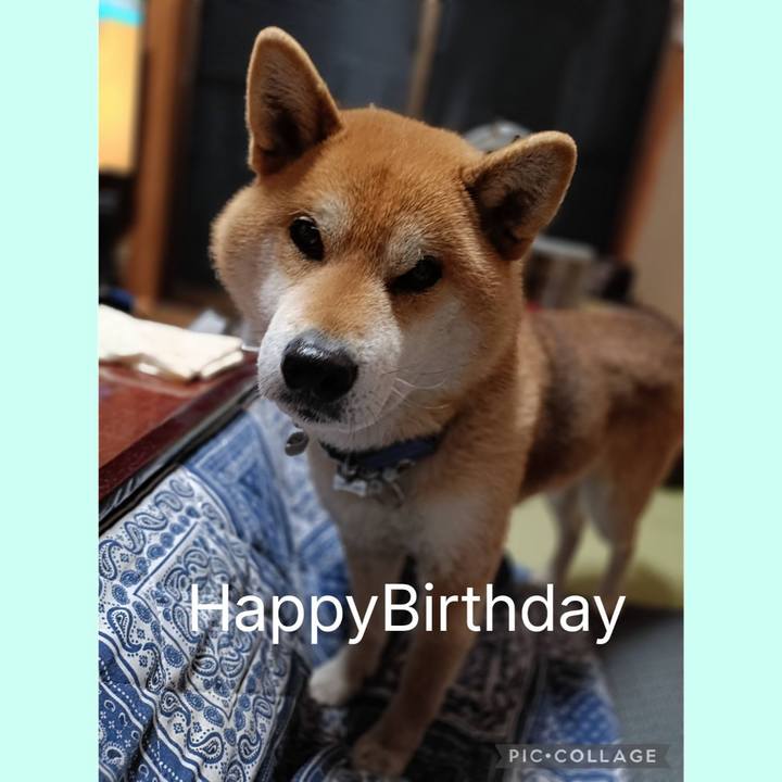 40243d54 ced3 402d 9da0 db3b00d5575e 1769948489156