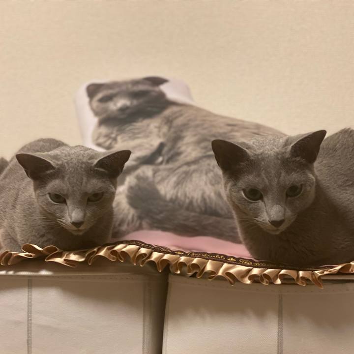 402473fb f624 4402 a23f 3cab85cfe5d9 1686703028308