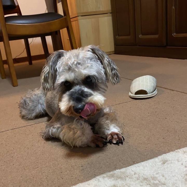 40247877 77b8 4fa0 85ce 9ea13be0132a 1716476316538