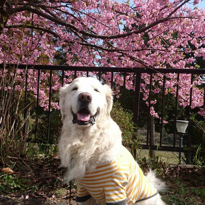 40248a3a 8cac 427b 841a 52ba7a0984c7 1550894444154